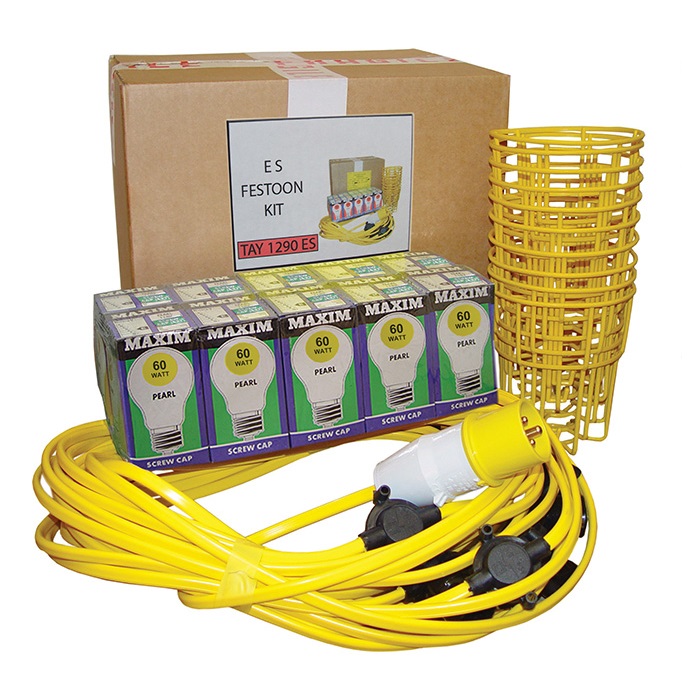 Festoon Lighting Kit