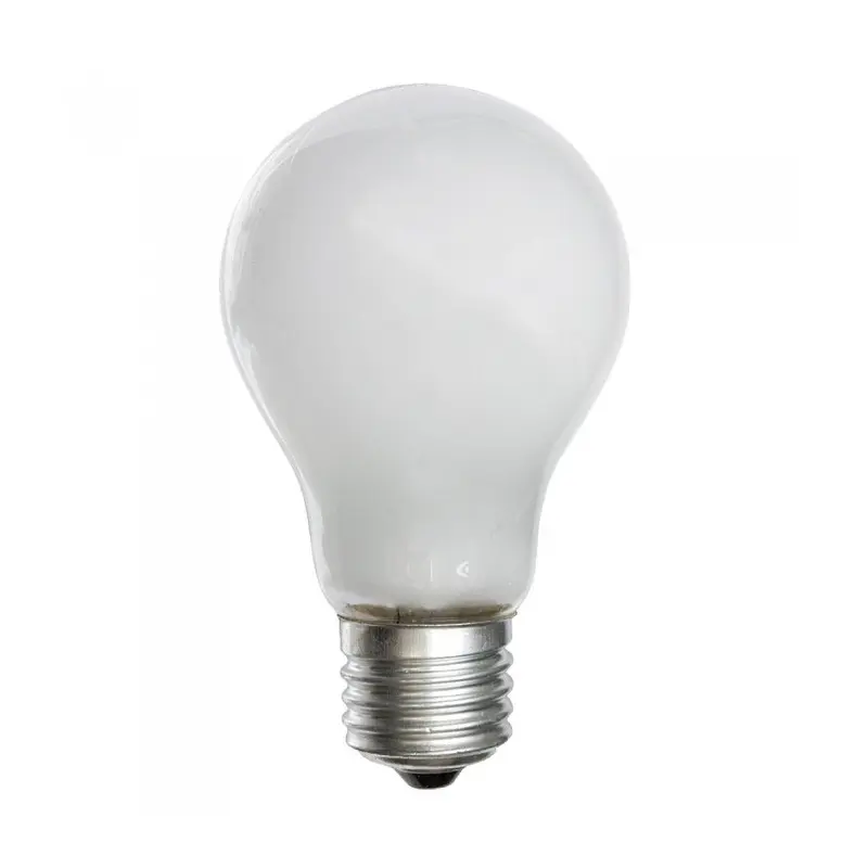 110V 60W Lamp