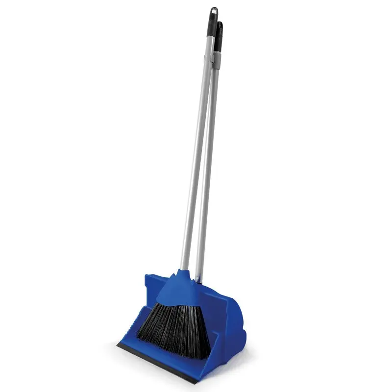 Long Handled Dustpan & Brush