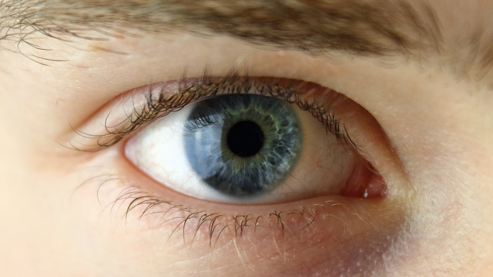 Close up of a blue eye