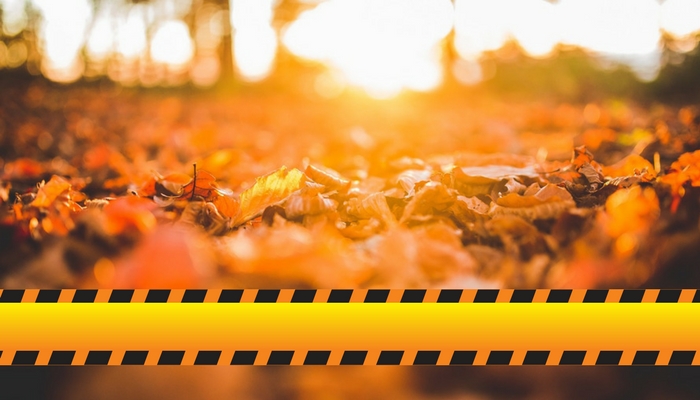 Autumnal background with hazard warning tape